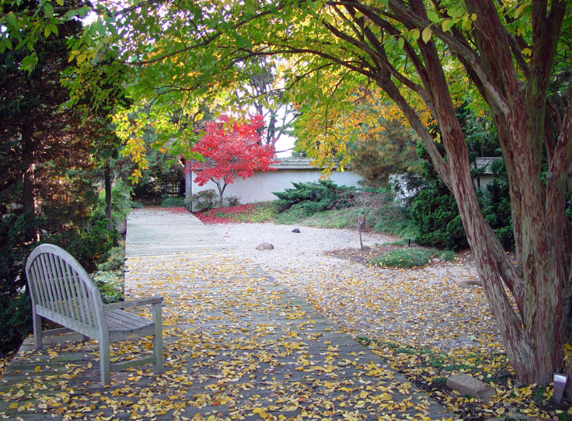 JC Raulston Arboretum, United States